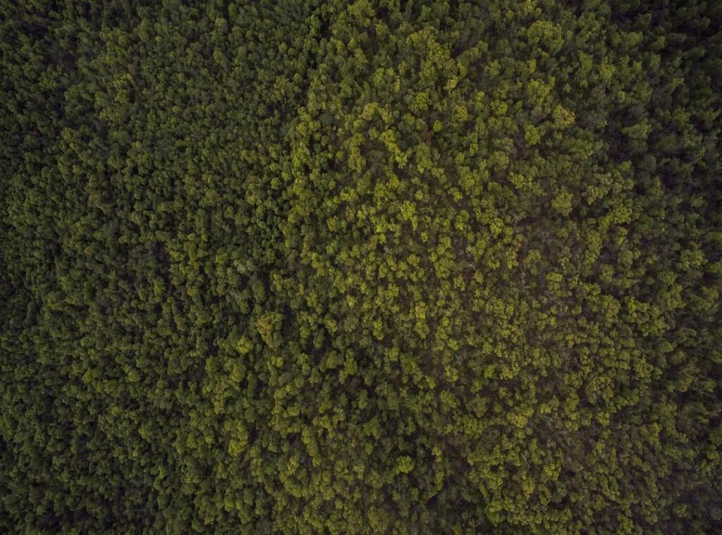 al-hilal - al nassr tijdlijn