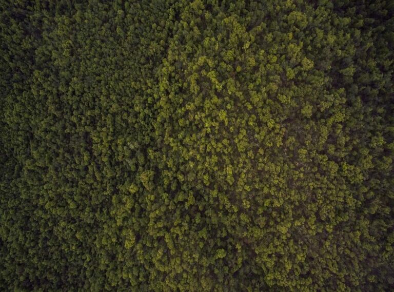 al-hilal - al nassr tijdlijn