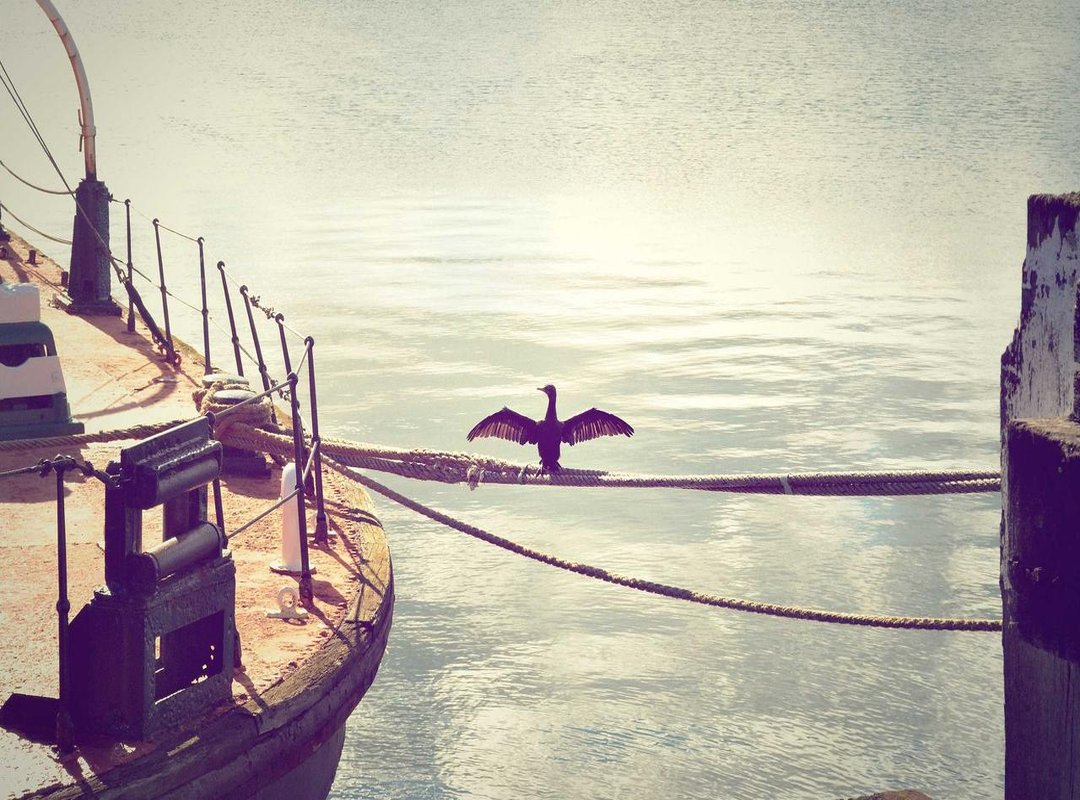 The Full Collection: More Than Just a Perfume Spray