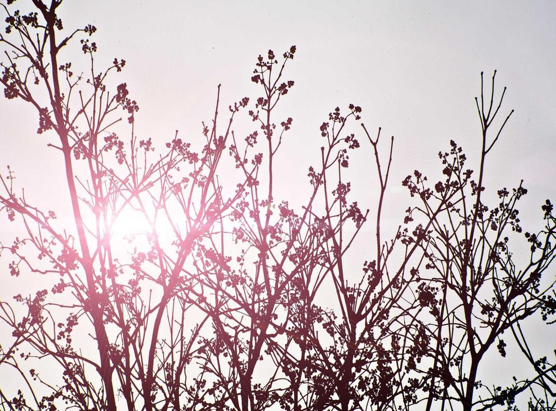 How to Be a Responsible Digital Citizen: Spotting and Reporting Fakes