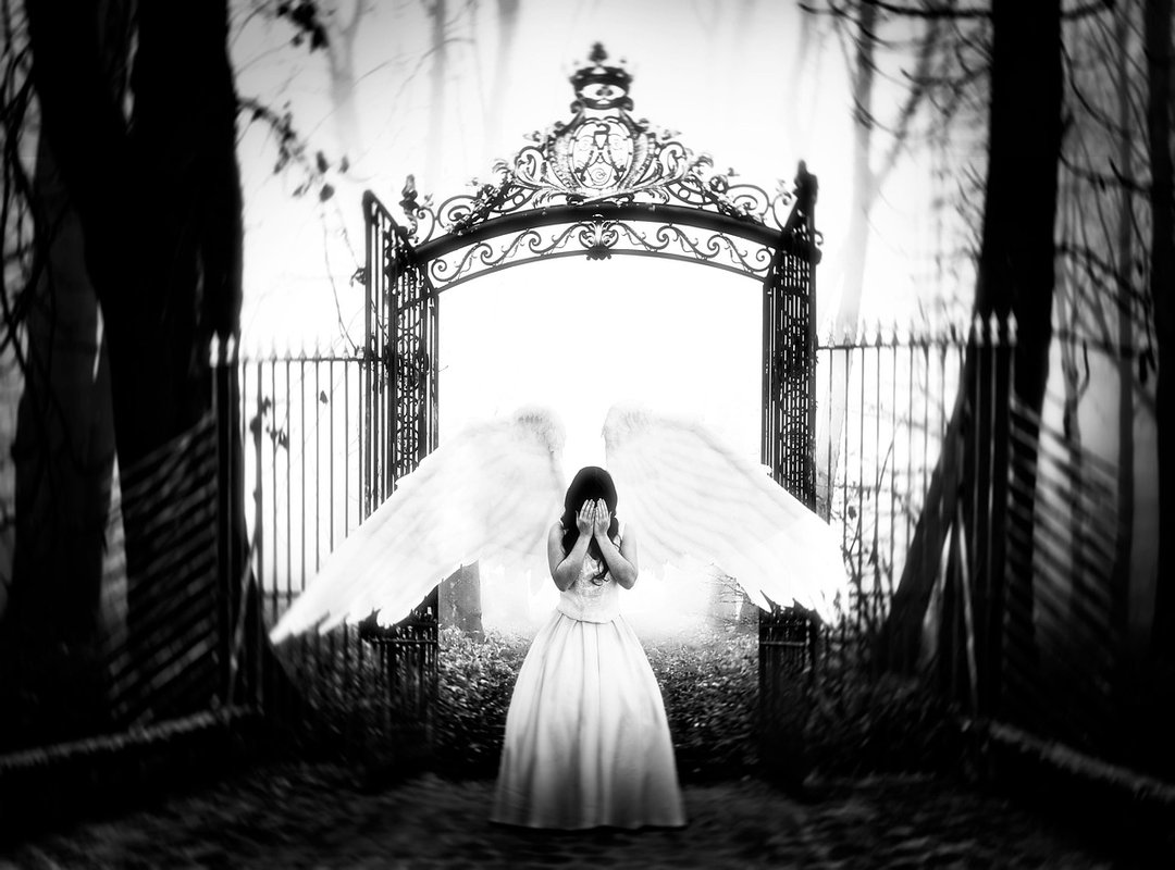 Impact of the Iidamilda Leak