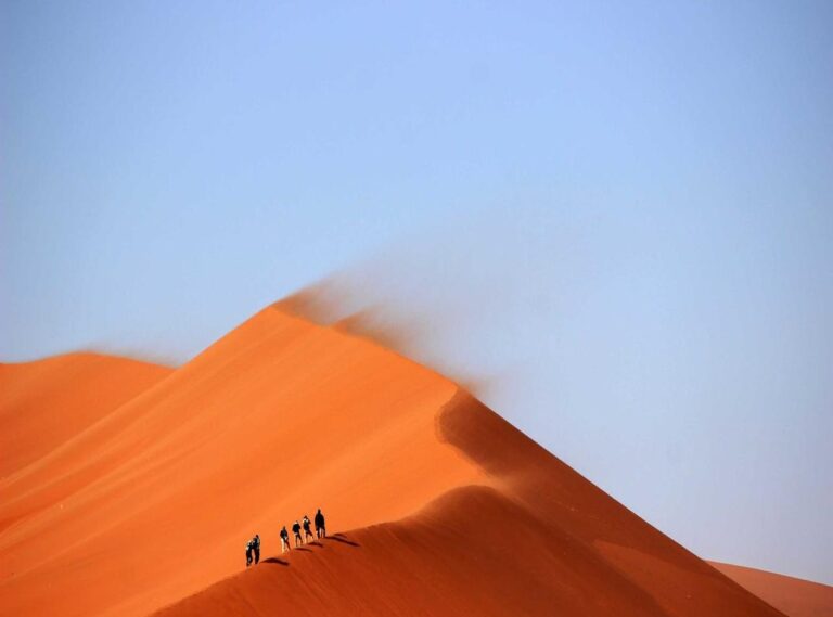 logo:k3rj7hd9lx0= whatsapp