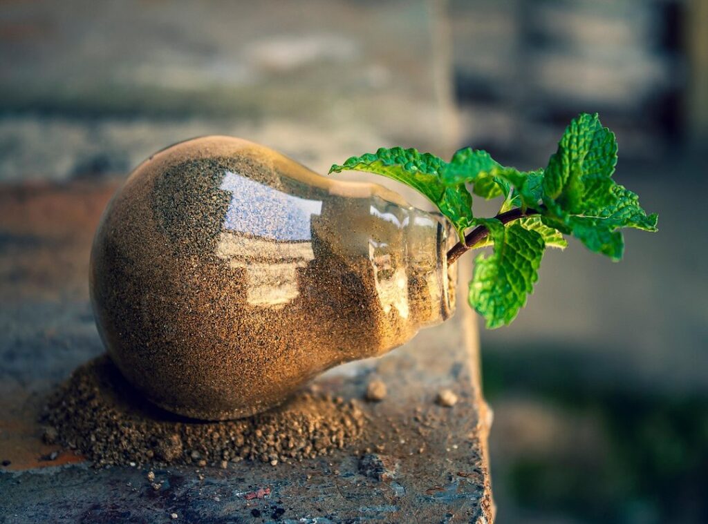 renewable energy trends