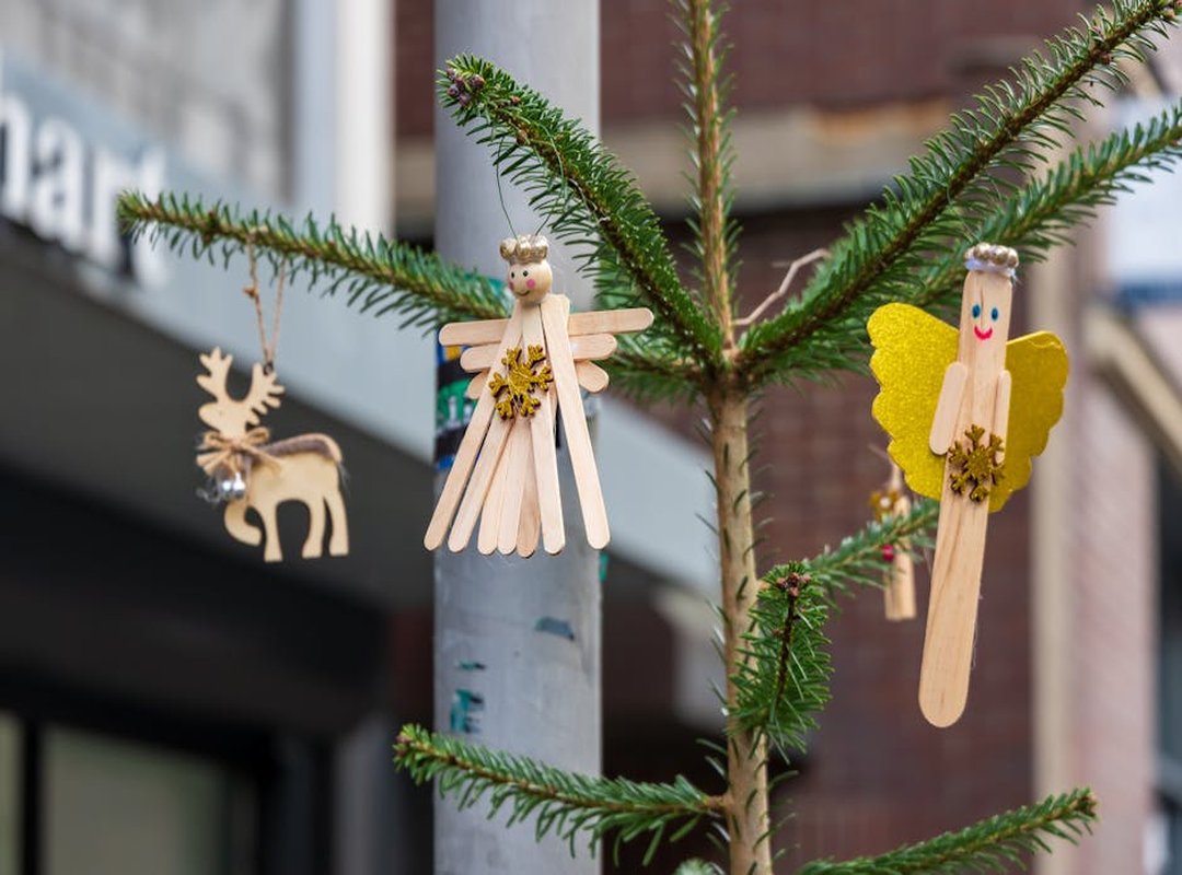 Traditional Trends Elmagcult